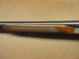 Winchester Model 23 Golden Quail - 9 of 16