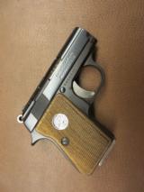 Colt Junior - 1 of 6