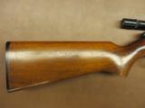 Remington Model 550 - 2 of 9