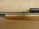Remington Model 550 - 7 of 9