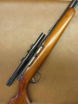 Remington Model 550 - 1 of 9