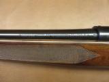 Winchester Model 52B Sporter - 8 of 9