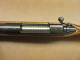 Remington Model 700 BDL Varmint - 9 of 9