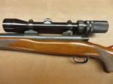 Winchester Model 70 Varmint Pre-64 - 7 of 14