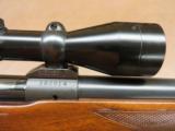 Winchester Model 70 Varmint Pre-64 - 13 of 14