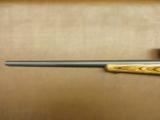 Ruger All Weather Model 77/22 - 7 of 8