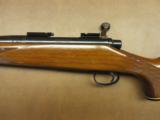 Remington Model 700 BDL Varmint - 6 of 9