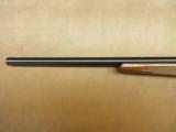 Sako Model 75 Varmint - 8 of 9