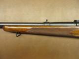 Winchester Model 70 Pre-64 - 7 of 10