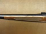 Winchester Model 52 Sporter - 10 of 13