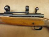 Winchester Model 70 - 6 of 10