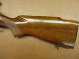 Winchester Model 70 Pre-64 Featherweight - 6 of 10