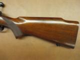 Winchester Model 70 Pre-64 - 6 of 11