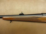 Winchester Model 70 - 9 of 16