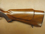 Winchester Model 70 - 7 of 16