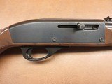 Remington Nylon 66 - 3 of 13