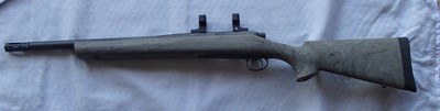 Remington 700 SPS Tactical .223 Heavy Barrel 16.5