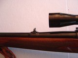 Winchester Model 70 pre-64, .270 Caliber - 13 of 14