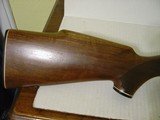 Model 70 Winchester Bolt Action Rifle in .243 Caliber - 8 of 15