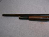 Marlin Single Hammer 1896 16 Gauge Pump Shotgun
- 7 of 12