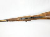 8 Bore English Sporting Percussion Muzzleloading Rifle by Hollie Wessel - 9 of 10