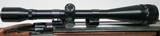 Ruger – No 1 - .308 cal. - Stk #C250 - 5 of 12