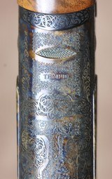 Caesar Guerini Tempio SE Case Colored 20 gauge 28" (662) - 3 of 8