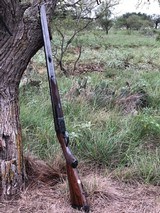 Anderson Wheeler, London, Mayfair W1: 500 3" Nitro Express Boxlock Ejector - 3 of 13