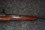 Excellent pre-64 Standard Model 70 in .243 caliber - 3 of 10