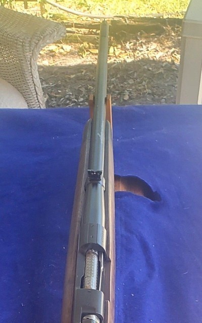 WINCHESTER
MOD 70 BOLT
264WIN. MAG