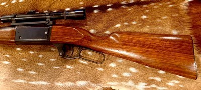 Savage 99 A 250-3000