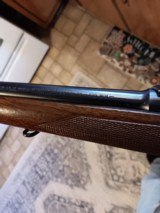winchester pre 64 model 70 - 8 of 9 winchester pre 64 model 70 - 8 of 9