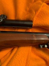 Thompson Center Contender with 14" 30-30 barrel and Bushnell scope - 7 of 9