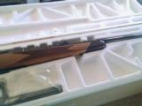 Colt Sauer Grand Alaskan .375 H & H Magnum - 4 of 4