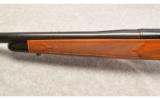 Remington Model 700 Varmint ~ .22-250 Rem. - 6 of 9
