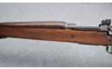 Remington Mod. 1903 (Sold as Display) - 6 of 9