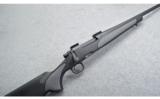 Remington 700 .300 Win. Mag. - 1 of 9