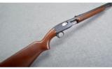 Remington Mod. 121 .22LR - 1 of 9
