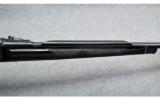 Remington Nylon 66
.22LR - 8 of 9
