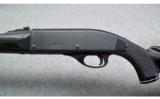 Remington Nylon 66
.22LR - 3 of 9
