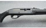 Remington Nylon 66
.22LR - 6 of 9