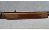 Browning ~ BAR-22 ~ .22 LR - 4 of 9