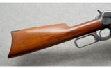 Winchester ~ 1895 ~ .30-06 Spg. - 2 of 9