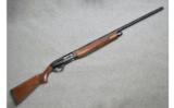 Armsan ~ Pointer ~ 28 Gauge - 1 of 9