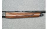 Armsan ~ Pointer ~ 28 Gauge - 8 of 9