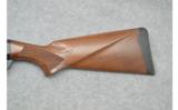 Armsan ~ Pointer ~ 28 Gauge - 3 of 9