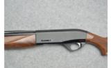 Armsan ~ Pointer ~ 28 Gauge - 4 of 9