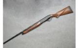 Armsan ~ Pointer ~ 28 Gauge - 2 of 9