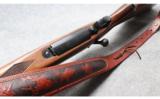 Winchester ~ 70 Standard ~ .243 Win - 6 of 9