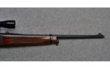 Browning ~ 81 BLR ~ .243 Win. - 4 of 9